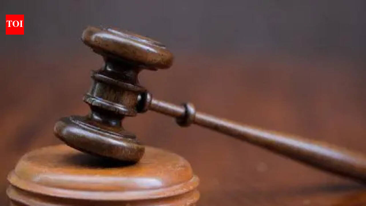 Kerala HC adjourns Kumbh Mela girl’s anticipatory bail plea