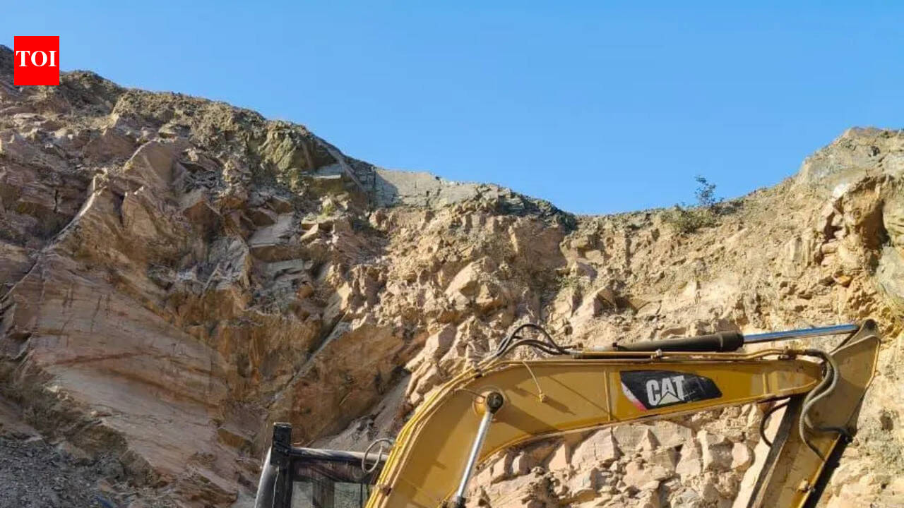 Raj, GSI join hands to accelerate rare earth exploration in Barmer