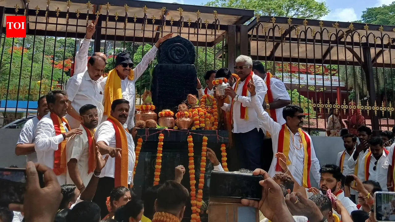 Kannada activists detained during BCC picketing bid