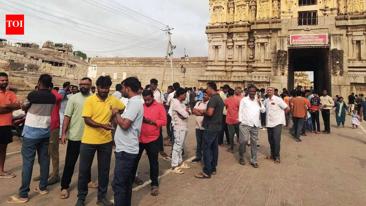 Hampi protests govt’s move to relocate temple elephant Lakshmi