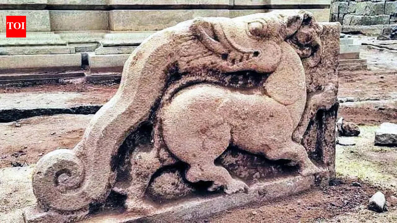 Vyala sculpture, stone canal unearthed at Hampi