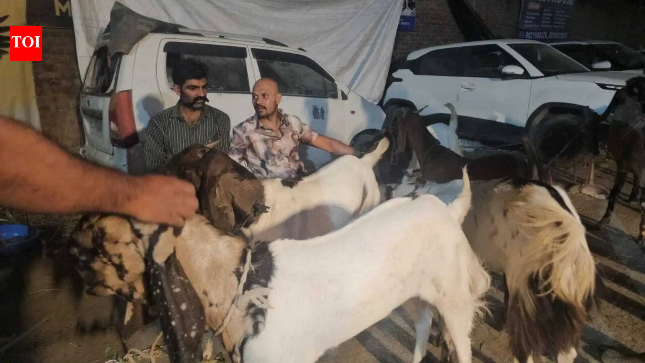 Posing as goat traders in Delhi’s Shaheen Bagh, Chhattisgarh cops chase 300km on Yamuna Expressway to catch interstate burglar