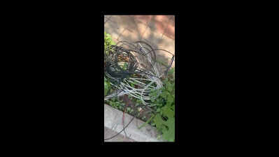 Loose wire on road turns engagement day into day of mourning for Bengaluru family