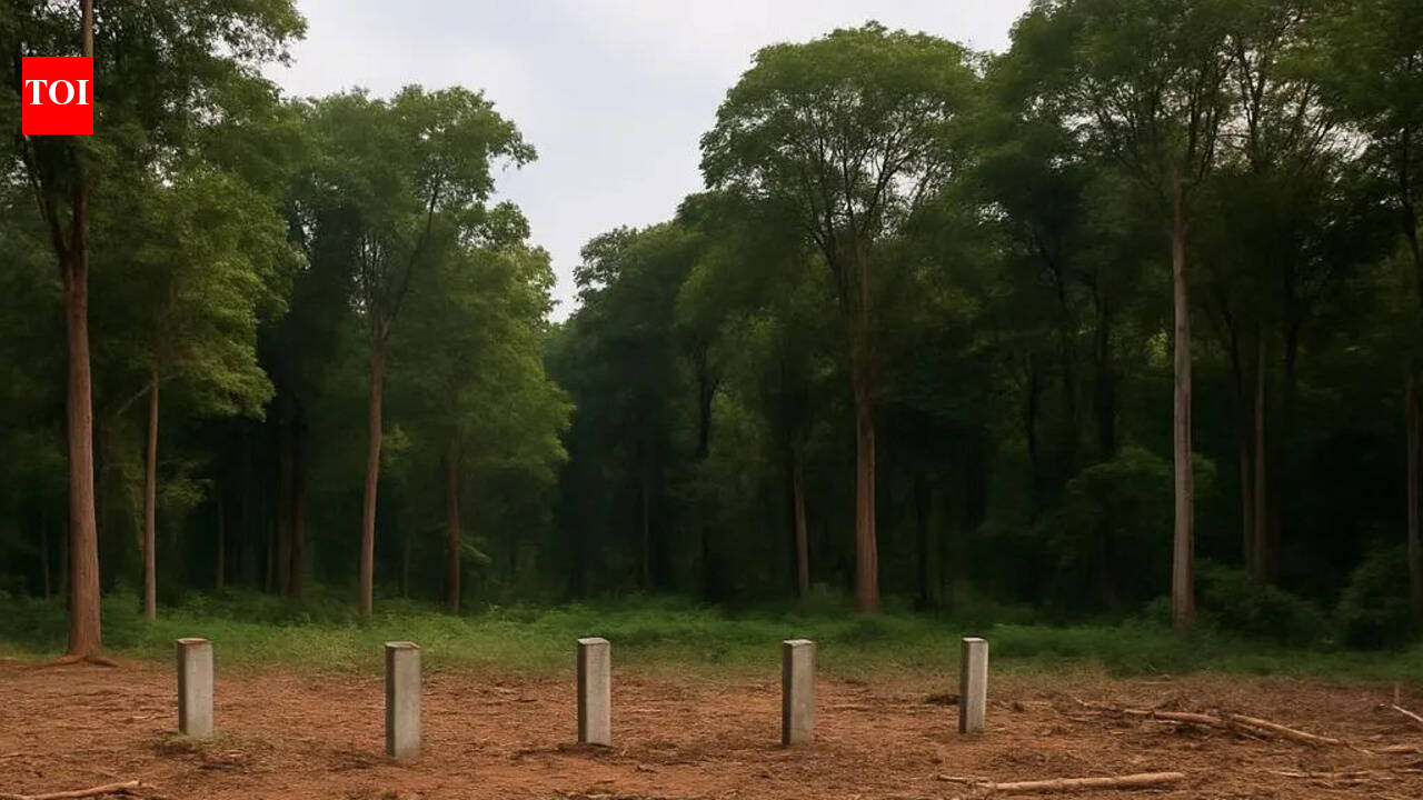 UP sets up team to free encroached forest land at Indo-Nepal border