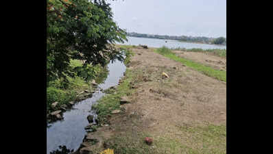 MPCB issues show-cause notice to KMC over Rankala Lake pollution