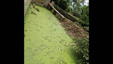 MPCB issues show-cause notice to KMC over Rankala Lake pollution