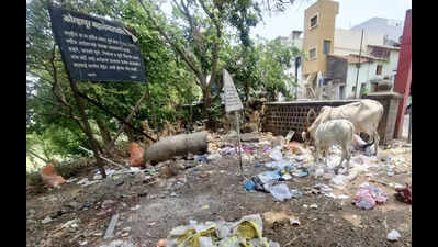 MPCB issues show-cause notice to KMC over Rankala Lake pollution