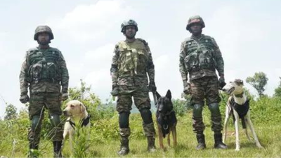 Operation Sheruwali enters day 4, searches intensified