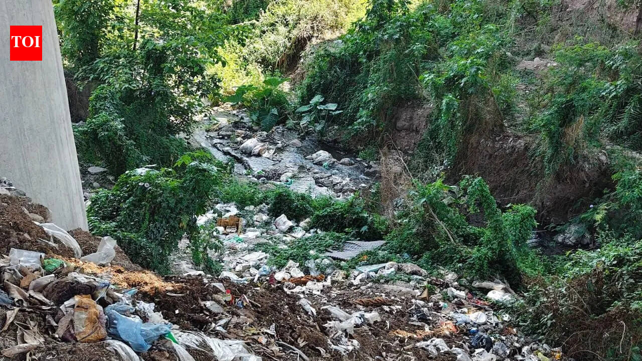 Untreated sewage pollutes river; threatens water supply