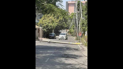 Drivers dodge downed power poles in Ludhiana's Gurdev Nagar after a tree falls.