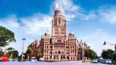 BMC seeks ad rights, maintenance funds before taking over MSRDC bridges