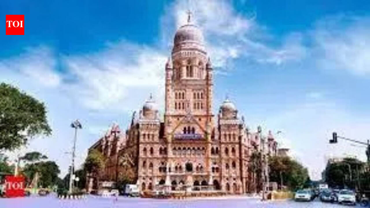 BMC seeks ad rights, maintenance funds before taking over MSRDC bridges