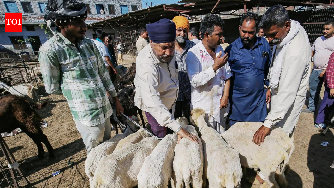 Delhi govt monitors transportation, sale and sacrifice of animals ahead of Eid
