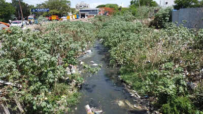 Coimbatore corporation joins hands with NGO, edu institute to restore stream at Gandhi Maa Nagar