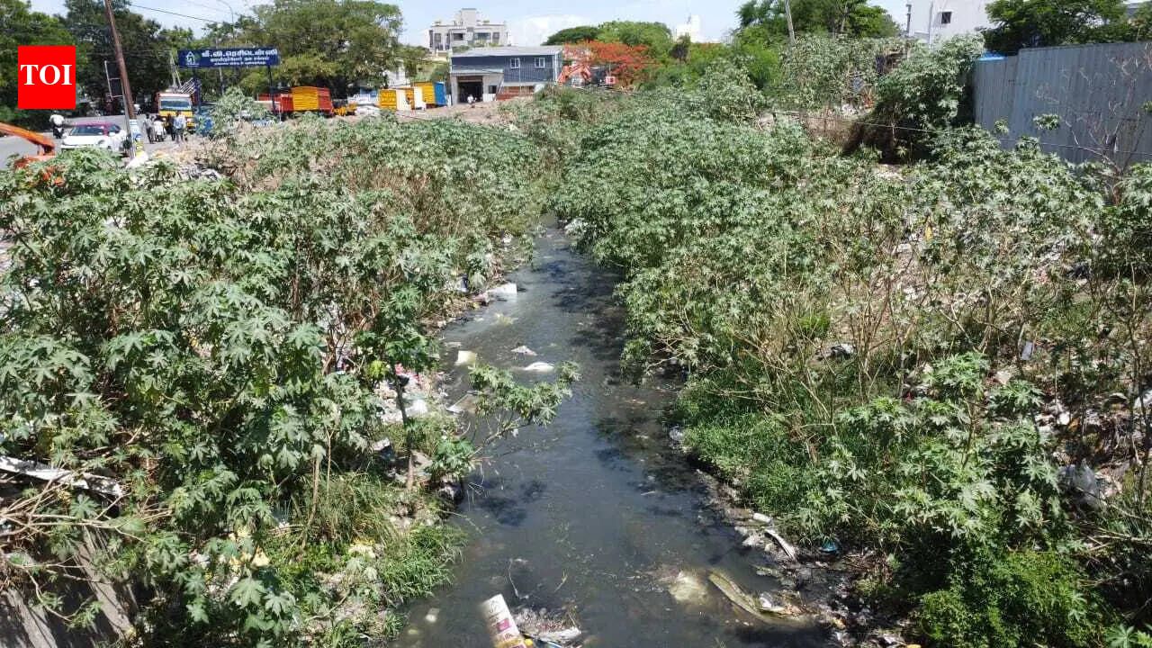 Coimbatore corporation joins hands with NGO, edu institute to restore stream at Gandhi Maa Nagar