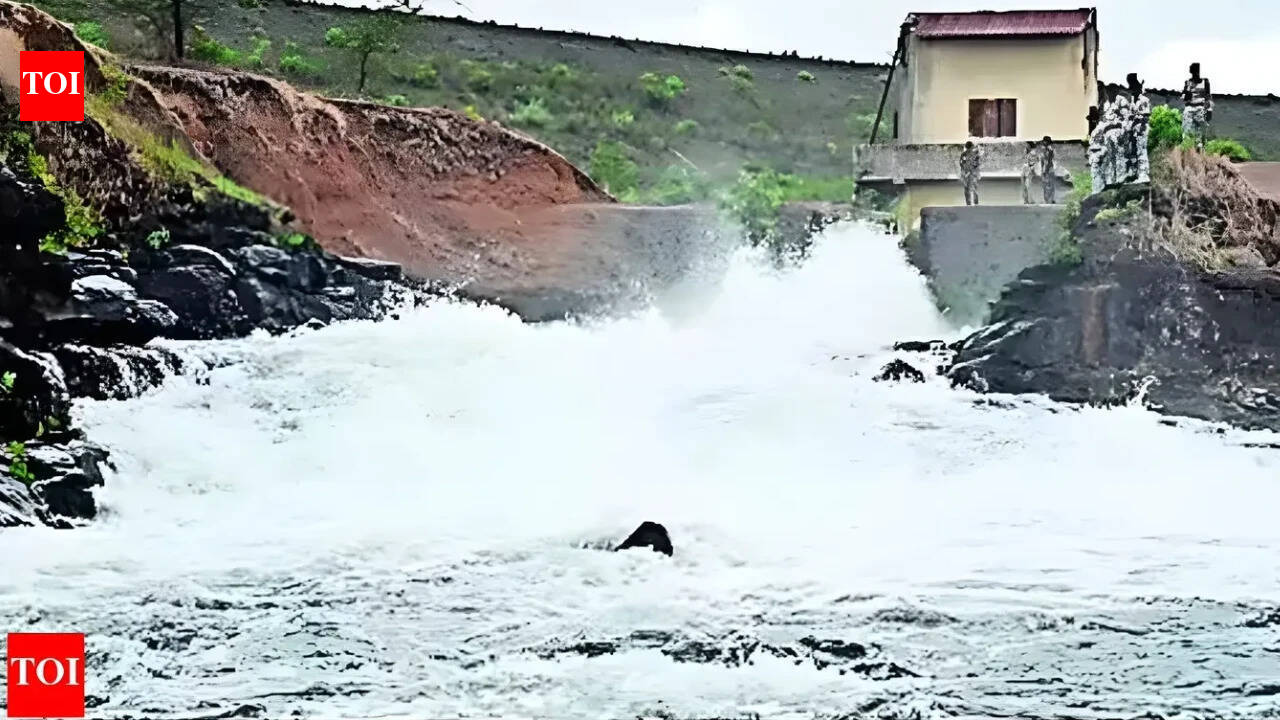 4 drown in Kashyapi Dam in Maharashtra