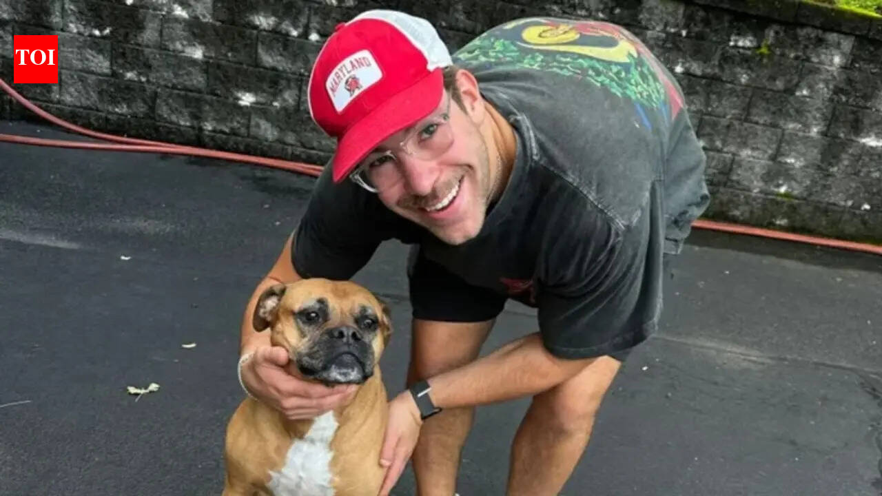 This New York engineer's earnings from walking dogs is higher than many full-time jobs: Monthly salary details inside