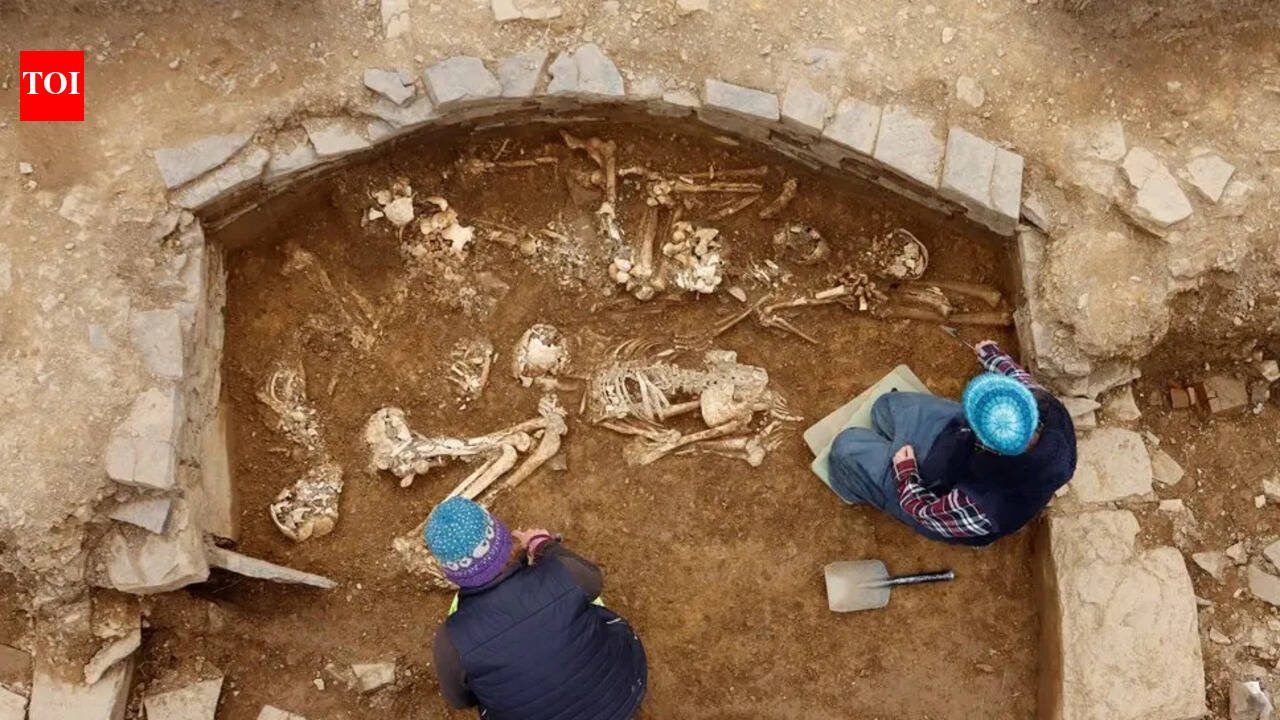 Hidden under a farm: The 5,000-year-old tomb discovered after its stones were stolen to build a house