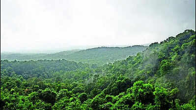 Officials review monsoon preparedness in Ponnampet