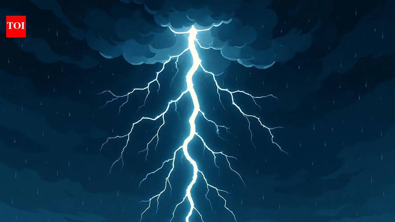 B’luru techie dies after being struck by lightning