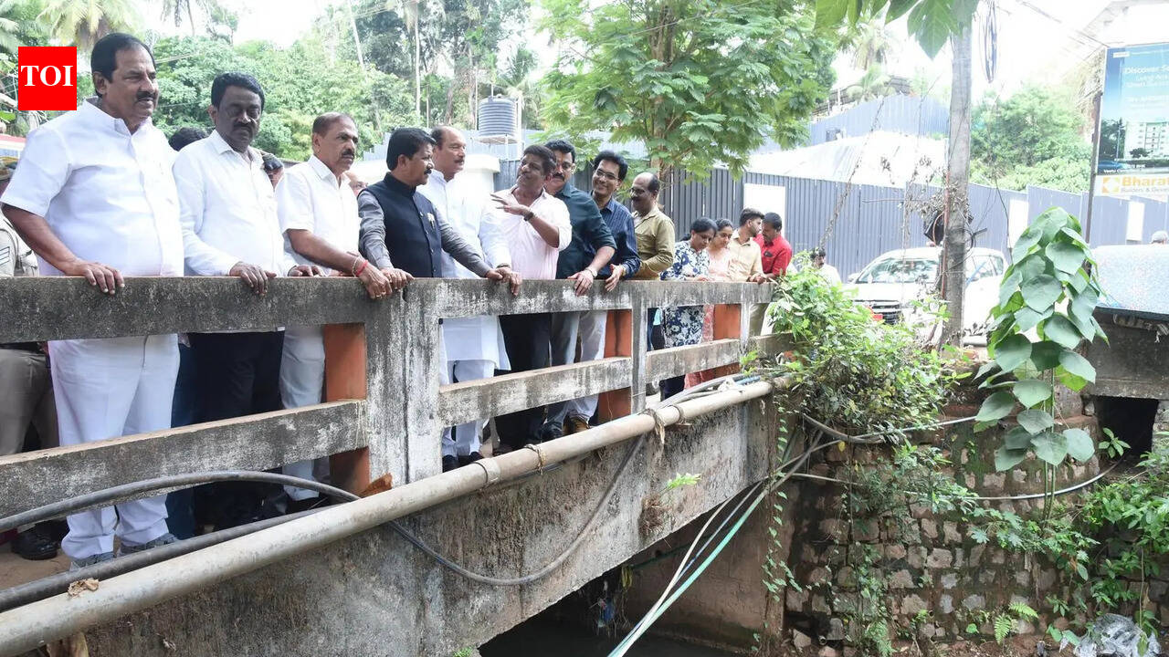 Rs 1,250 cr sought for Mangaluru UGD, other works