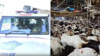 Goat sacrifice ritual called off in Goregaon society after clash ahead of Eid al-Adha