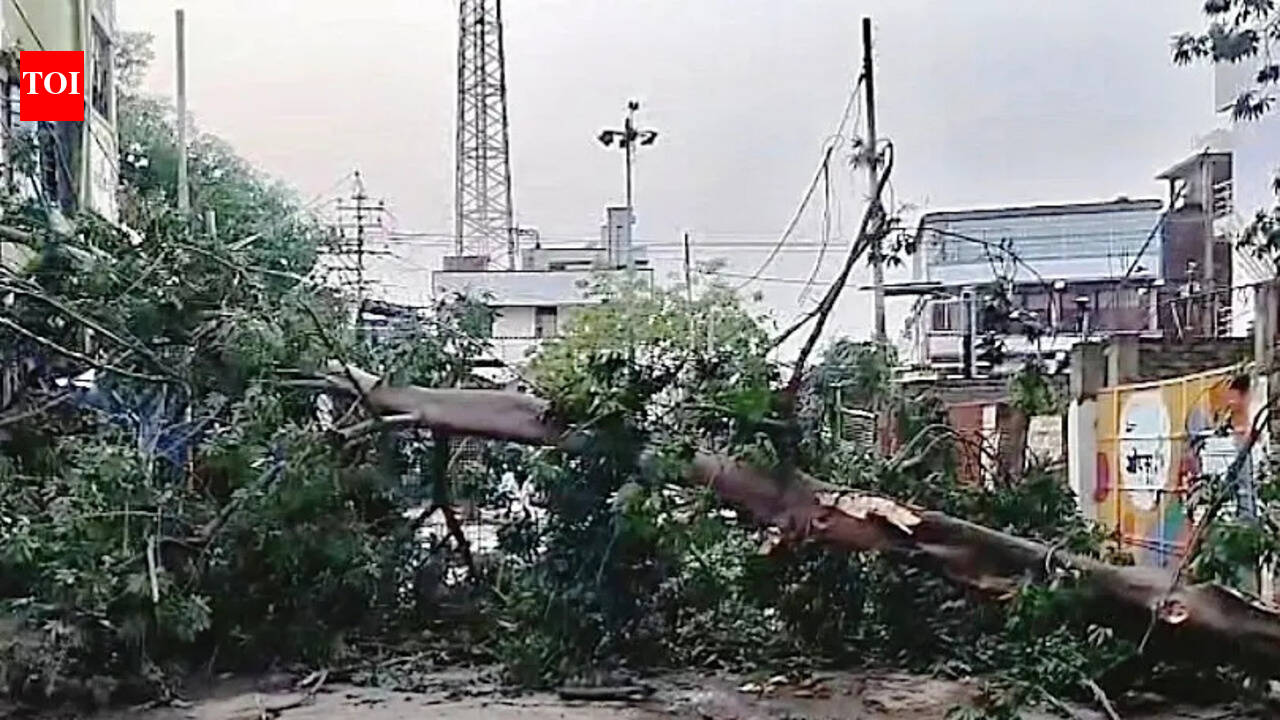 Storm hits power supply in Bhagalpur; grids under repair, water tankers deployed