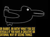 Optical illusion personality test: Duck or rabbit, or both? What you see first reveals if you have a creative or traditional way of seeing things