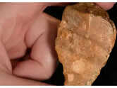 The unfolding story of Sulawesi's oldest inhabitants