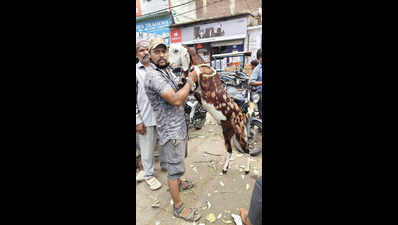 Bahubali and Dhurandhar goats steal show this Bakrid amid price surge in Ranchi