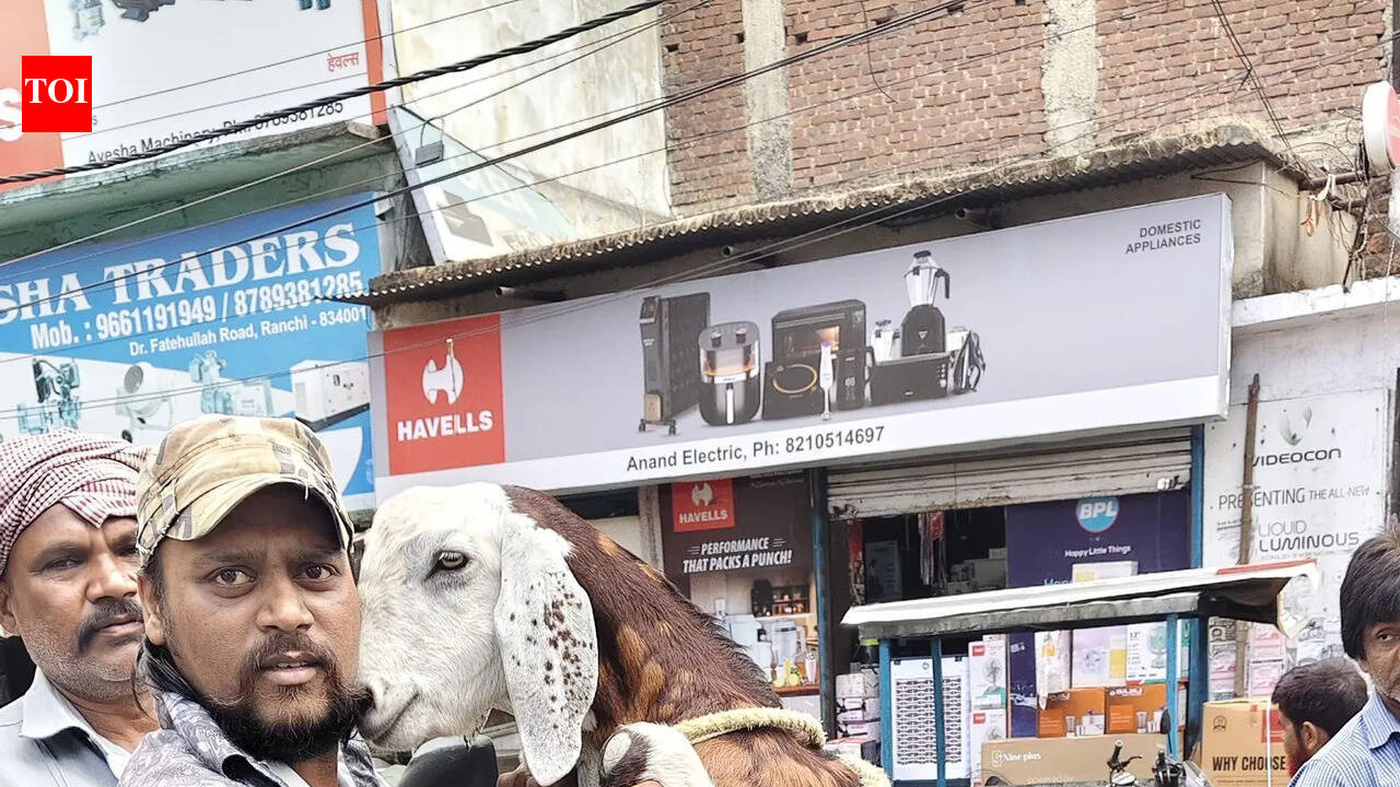 Bahubali and Dhurandhar goats steal show this Bakrid amid price surge in Ranchi