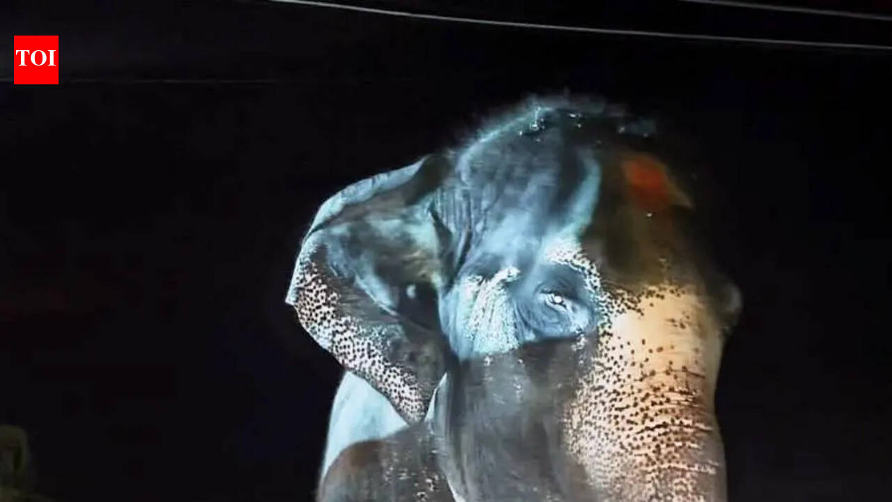 Protests fail to stop transfer of Hampi elephant