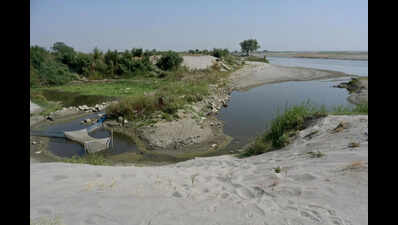 Why Yamuna Is Now Brownish Narrow Stream