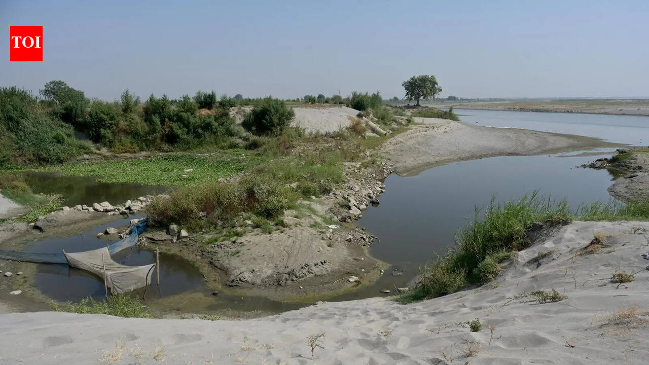 Why Yamuna Is Now Brownish Narrow Stream