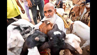 Security arrangements for Bakrid, city divided into six zones and 17 sectors