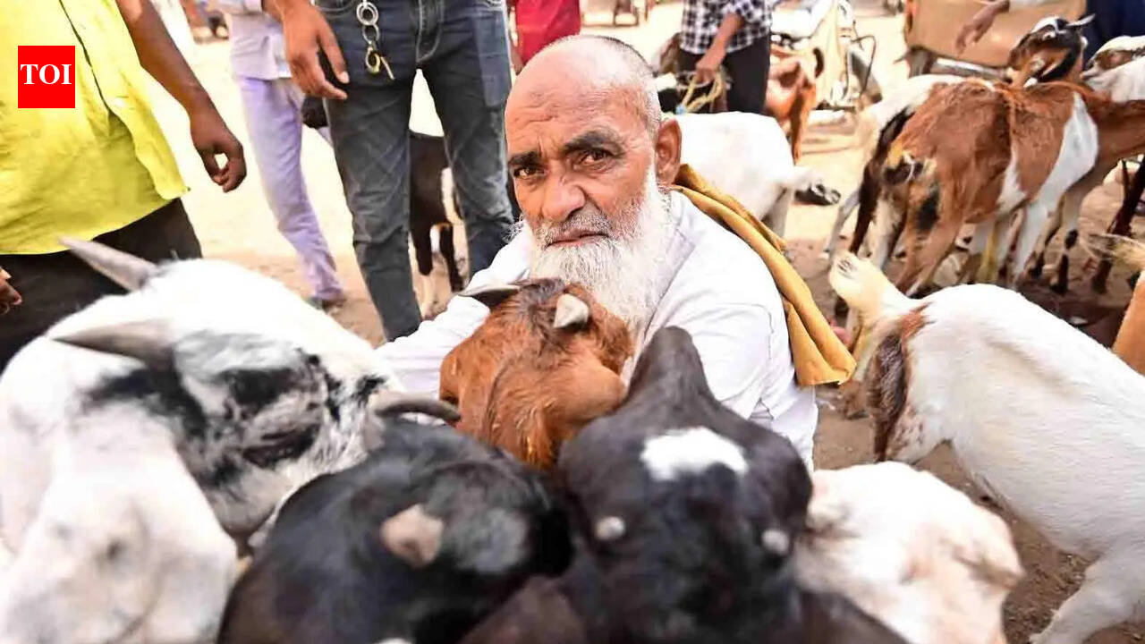 Security arrangements for Bakrid, city divided into six zones and 17 sectors