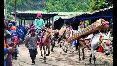 Strict SOP for equines on pilgrimage routes; daily caps enforced