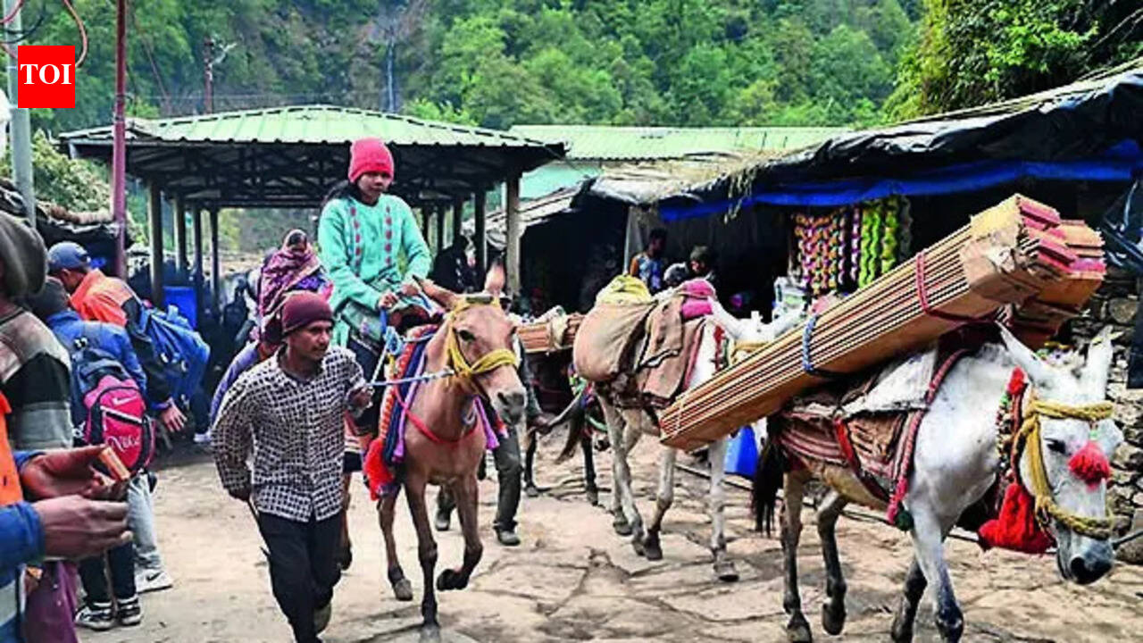 Strict SOP for equines on pilgrimage routes; daily caps enforced