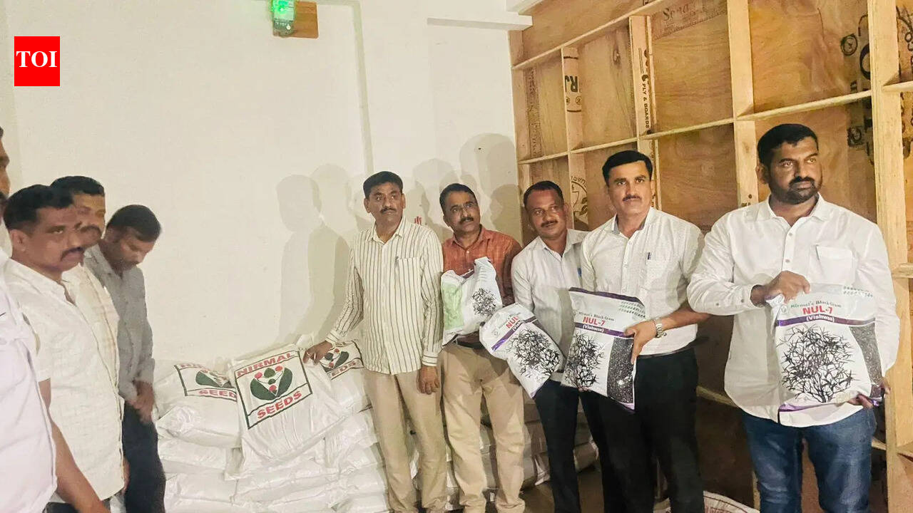 816 bags of untested urad seeds worth Rs16L seized in Solapur