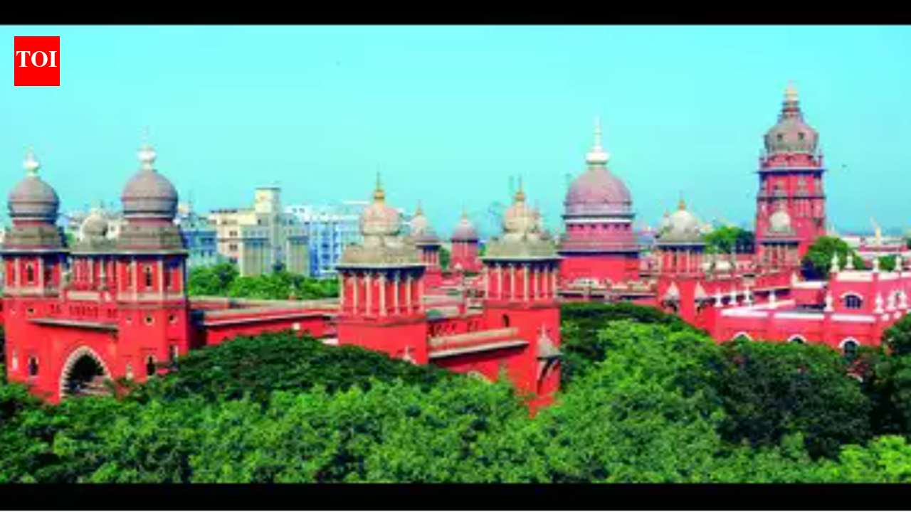 Madras high court bans cow, calf slaughter in Tamil Nadu