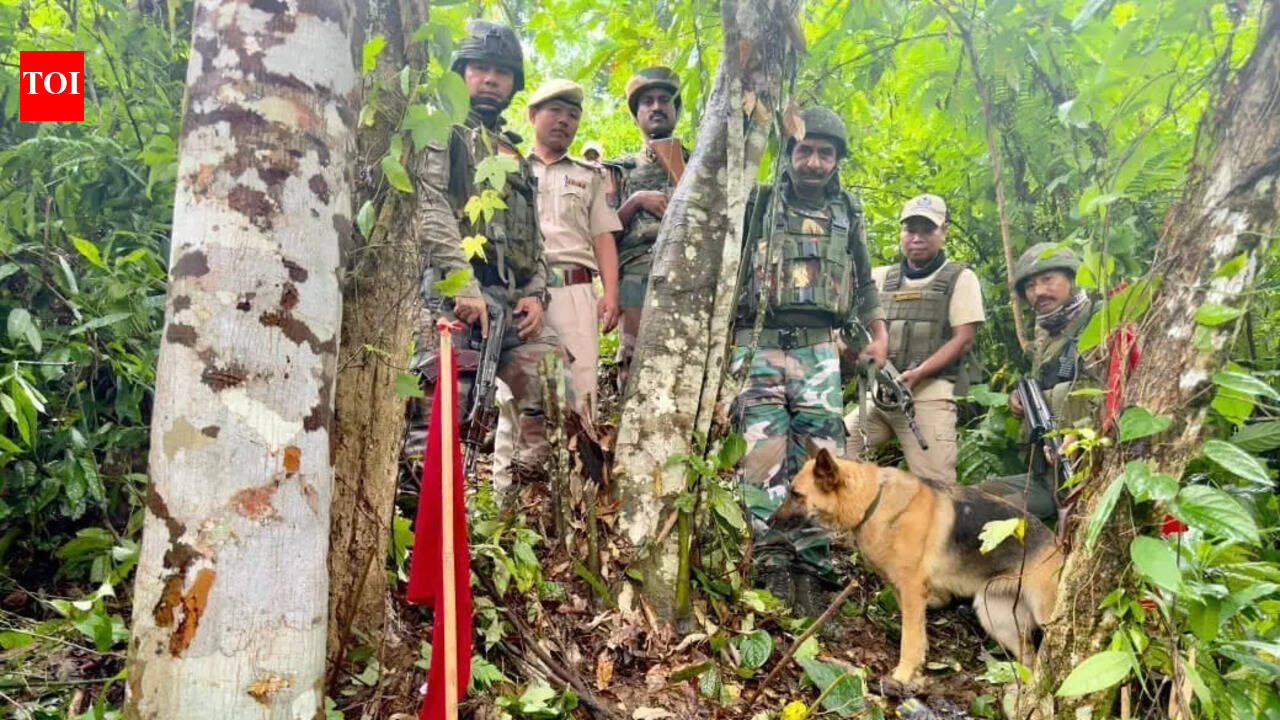 Assam Rifles recovers 3 IEDs in Jiribam