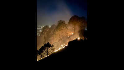 IAF drops 40,000 litres from Sukhna Lake to tame Kasauli inferno
