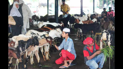 ‘Slaughter facilities available in 1km’, Goregaon society’s permission for goat sacrifice revoked