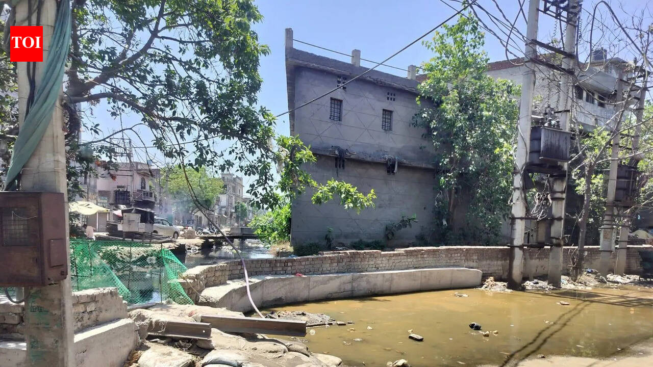 Sewage’s dark tide hits Ludhiana’s Dhoka Mohalla in suffocating heatwave