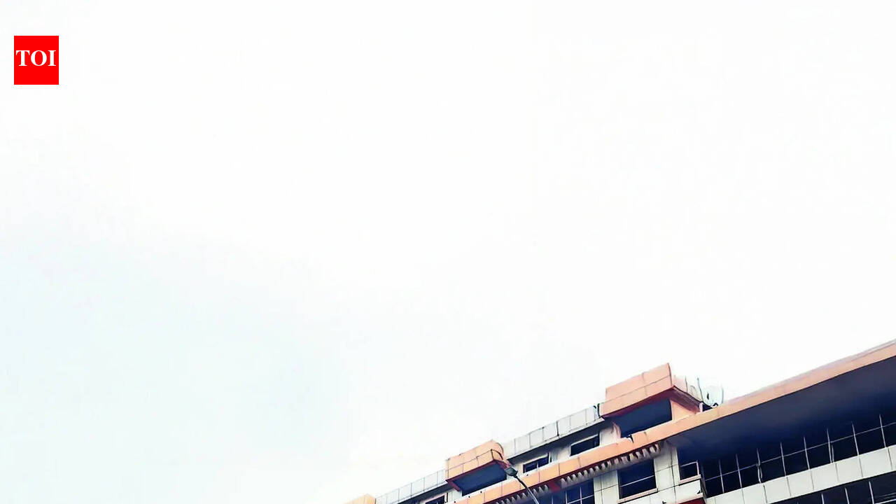 No hand raised to buy Ludhiana’s ₹197-crore ghost complex.