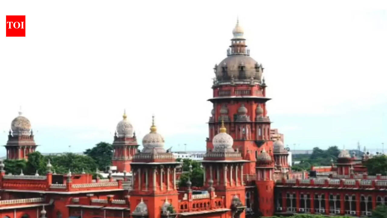 Safety of women, kids top priority for TN govt, AG tells Madras HC