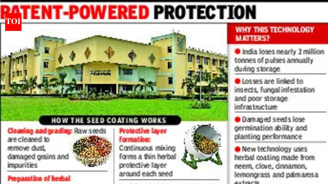 Herbal shield from Gujarat to help save millions of tonnes of foodgrains