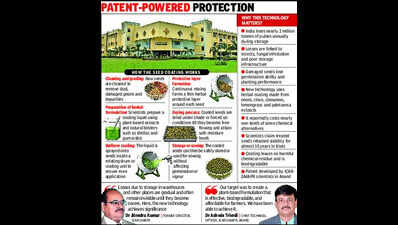 Herbal shield from Gujarat to help save millions of tonnes of foodgrains