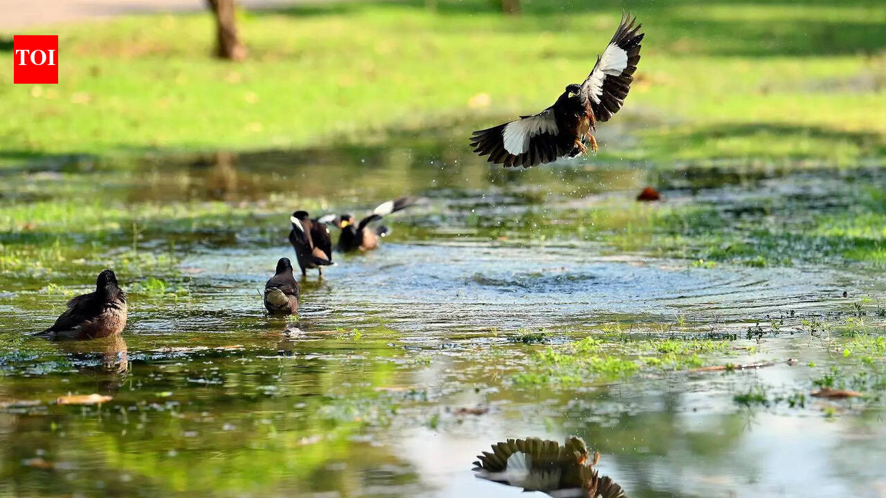 Heatwave to ease as rain spell sets in from Thursday