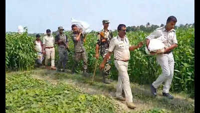 Sacks with Rs 2.2 cr unearthed in field near TMC neta’s farmhouse